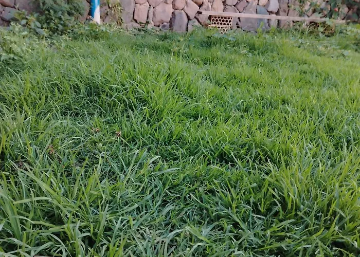 House In Peru 2 *
